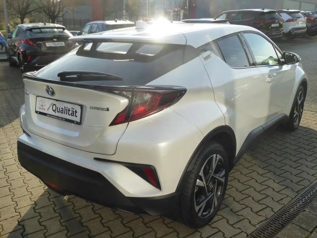 Toyota C-HR Team D