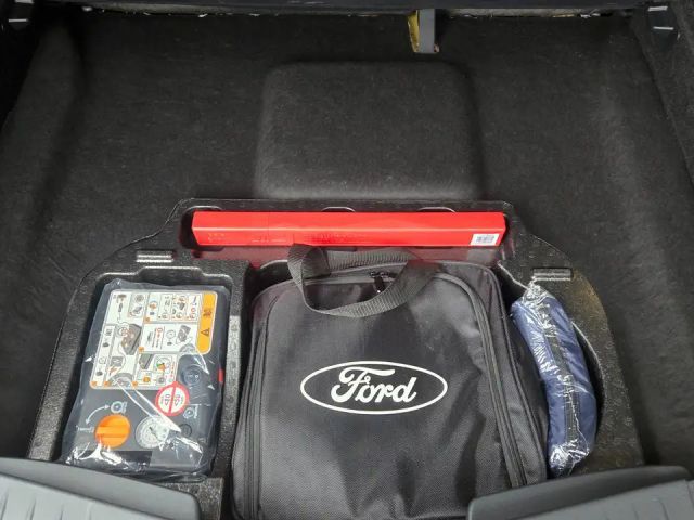 Ford Mustang Mach-E Basis+LED+Winter+GJR+Techno1+Mwst ausweisbar!