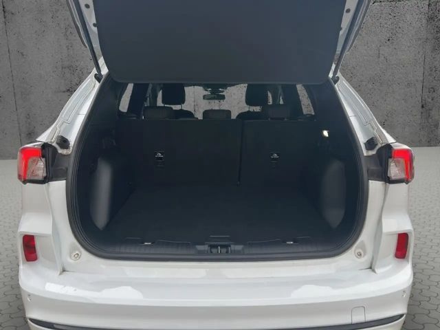 Ford Kuga Plug in Hybrid ST Line