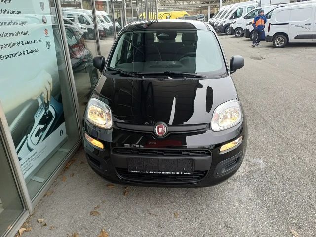 Fiat Panda 4x2