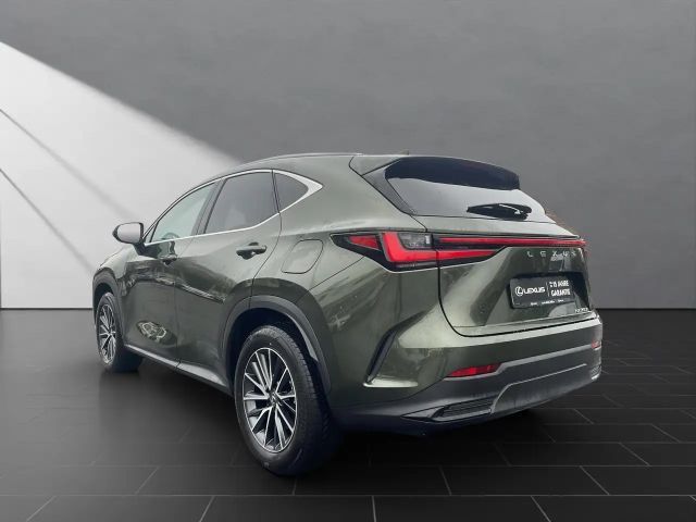 Lexus NX Executive Line