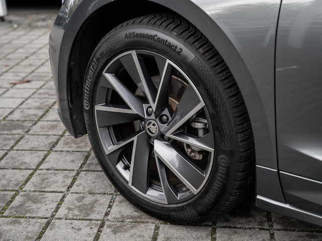 Skoda Enyaq IV Kam. Navi Virtual el.Heck