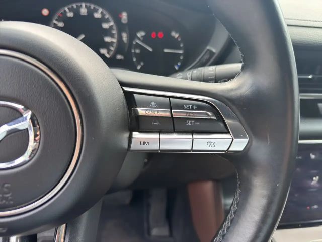 Mazda MX-30 Elektro Ad`Vantage LED KAMERA HEAD-UP