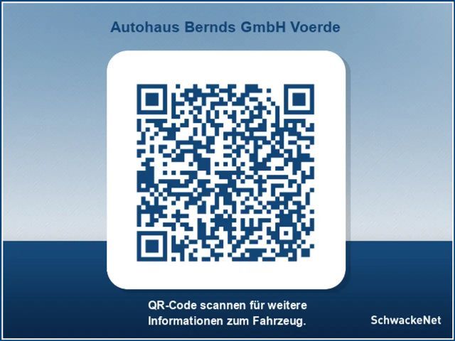 Ford Mustang Mach-E B&O SOUND NAVI LED PANORAMADACH SHZ