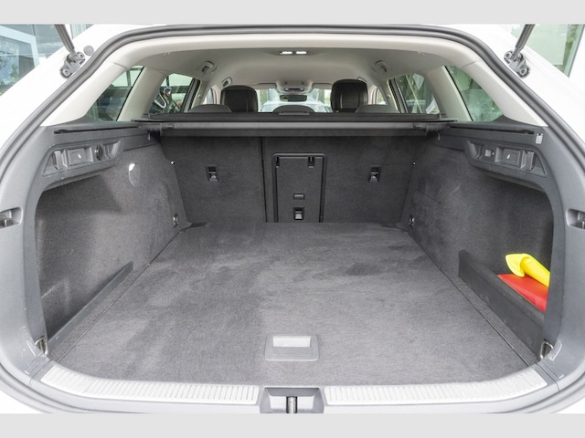 Volkswagen Passat 1.5 eTSI Business Variant