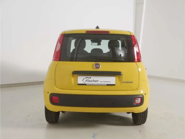 Fiat Panda Icon