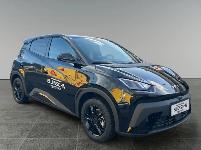 BYD Dolphin Surf Comfort