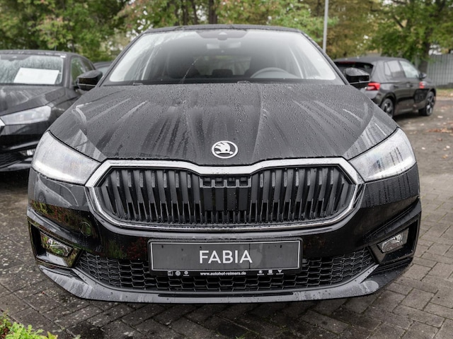 Skoda Fabia 1.0 MPI LED LM PDC SHZ SpurH