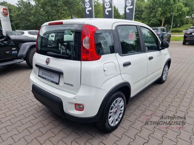 Fiat Panda MY24 Hybrid KomfortPaket Bluetooth Apple CarPlay A
