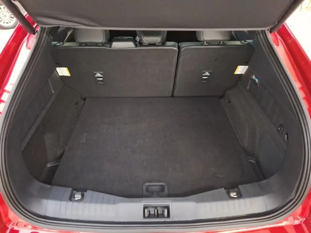 Ford Mustang Mach-E *Totwinkelassistent-Spurhalteass*