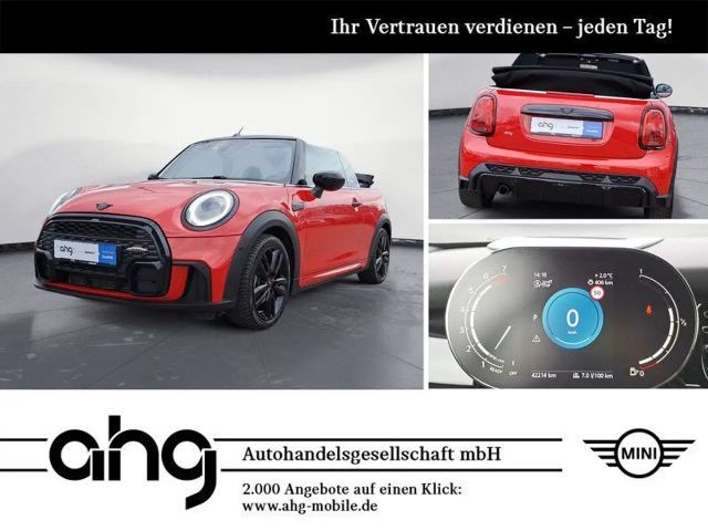 MINI Cooper Cabrio JCW Trim Steptronic Navi Leder MIN
