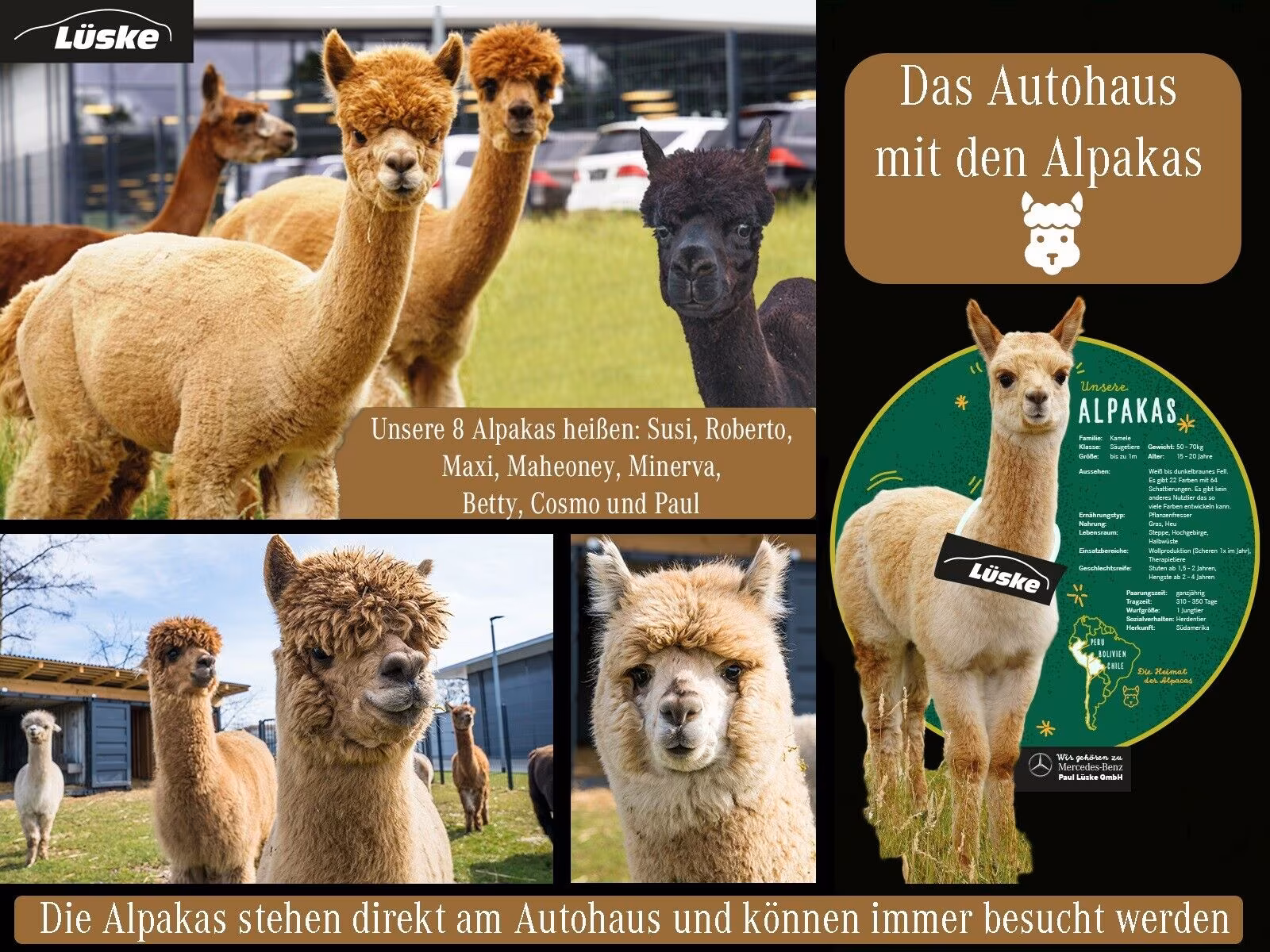 Mercedes-Benz AMG SL 4MATIC