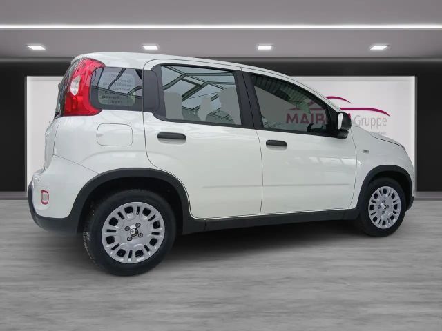 Fiat Panda Pandina 1.0 GSE
