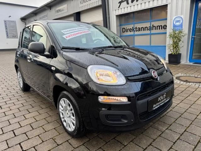 Fiat Panda MY25 1.0 GSE *5-Sitzer*GRA* PDC*Bluet.*