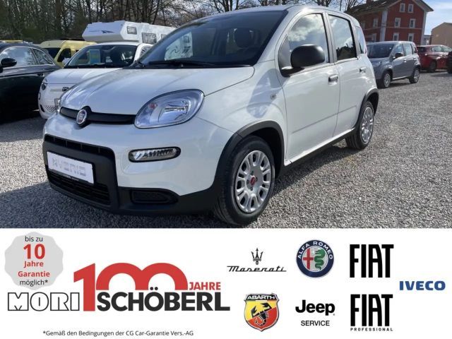Fiat Panda CityCross