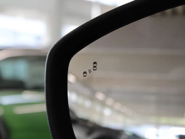 Ford Mustang Mach-E 99 kWh Top Ausstattung + Panoramadach