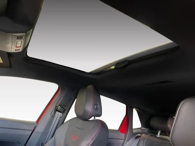 Volkswagen Polo 2.0 TSI DSG GTI