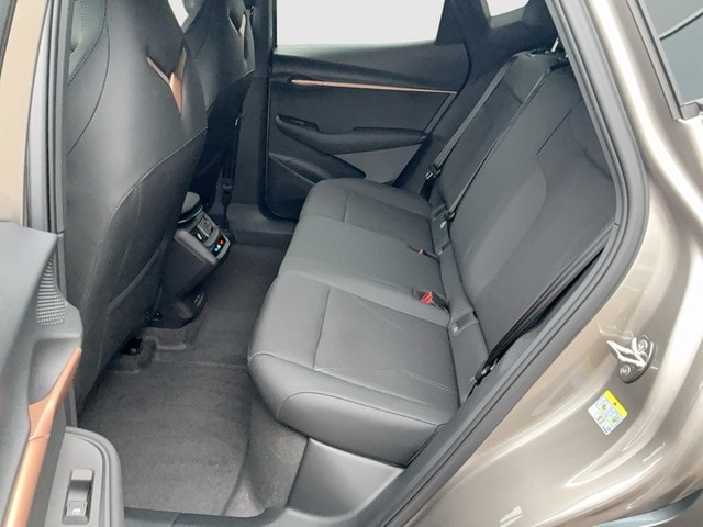 Cupra Tavascan Endurance