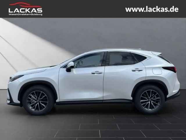 Lexus NX Executive Line