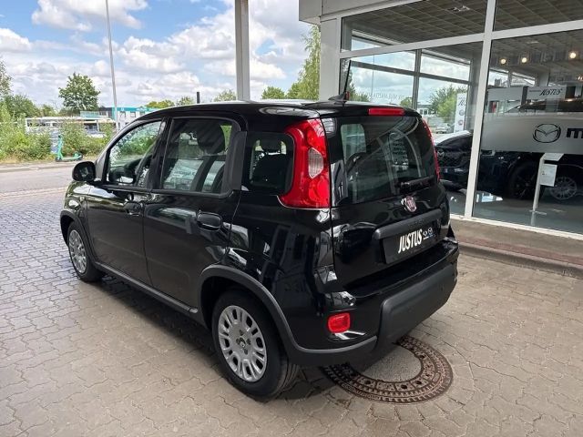 Fiat Panda 1.0 Hybrid 70PS Pandina