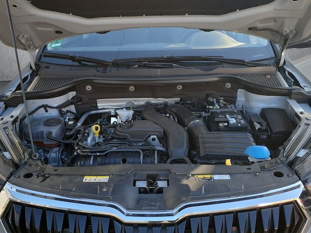 Skoda Karoq 1.5 TSI Drive Selection