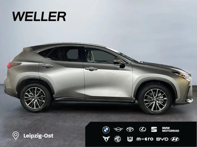 Lexus NX Executive Line