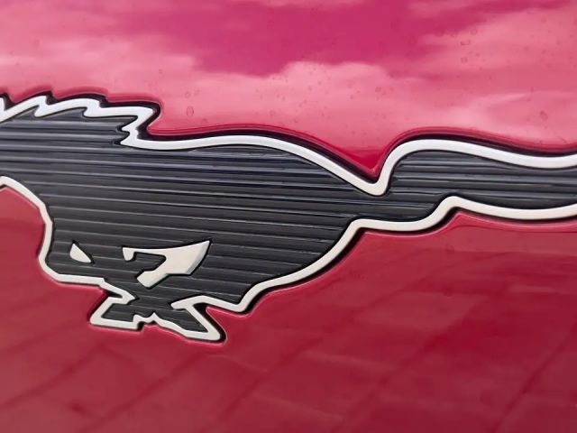 Ford Mustang Mach-E AWD Standard range