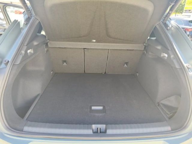 Cupra Terramar 2.0 TSI VZ