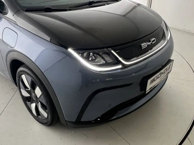 BYD Dolphin Design