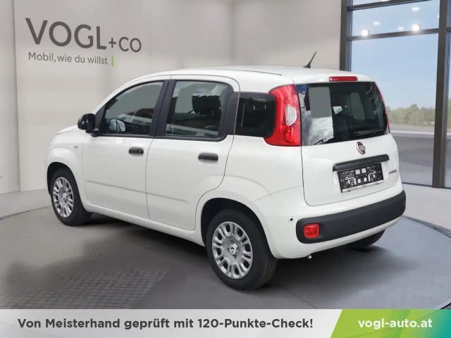 Fiat Panda Panda Mild Hybrid