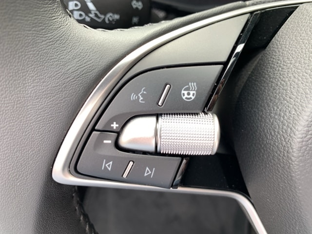 Skoda Fabia 1.0 TSI Selection