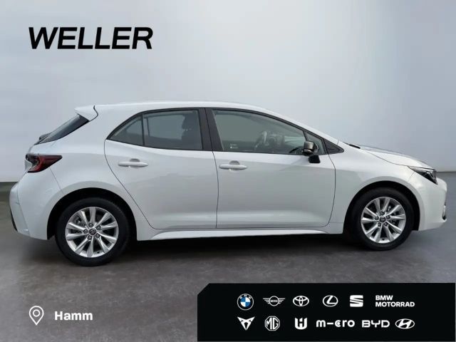 Toyota Corolla Business Hybride