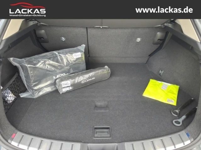 Lexus NX h BUSINESS*CONNECT-MY25* MEMORY*360KAM*GARANTIE