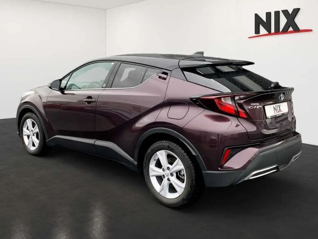 Toyota C-HR Hybride Team D