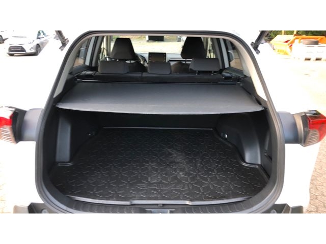 Toyota RAV4 5-deurs Team D