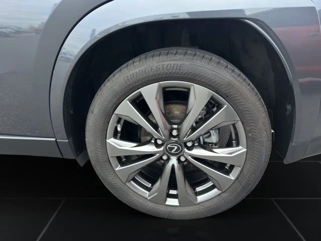 Lexus UX 250h F Sport Sport