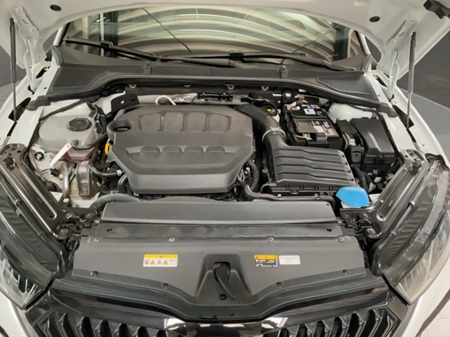 Skoda Octavia 2.0 TSI Combi