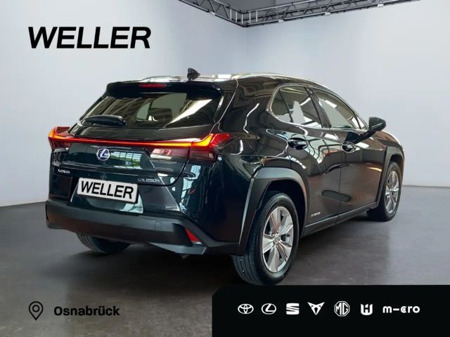 Lexus UX 250h
