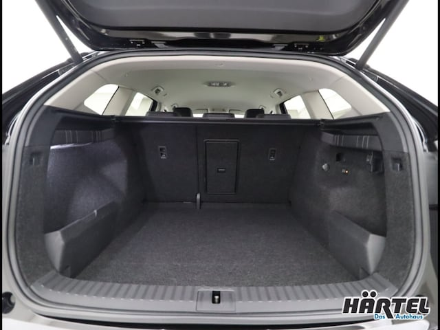 Skoda Enyaq 4x4 iV 80x