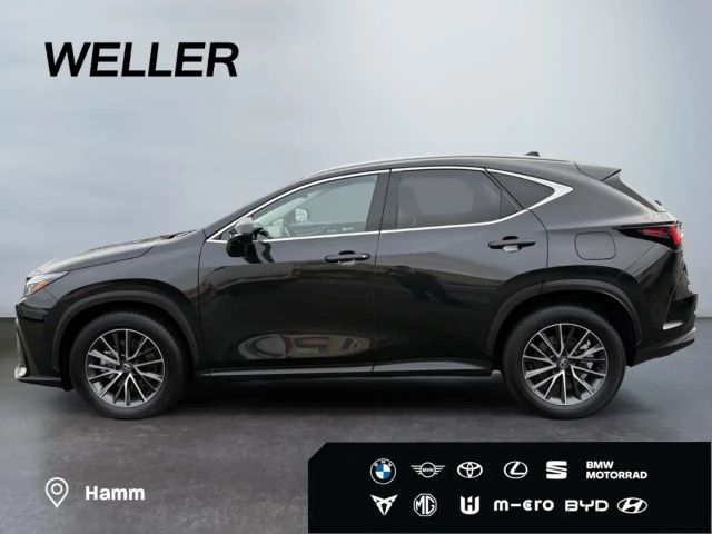 Lexus NX Executive Line