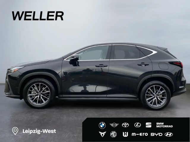 Lexus NX Executive Line