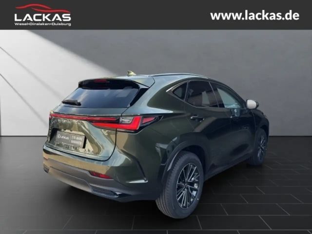 Lexus NX h 243 PS ** 15 Jahre Gar antie ** Sitzklima Connect - Paket 360°Kamera
