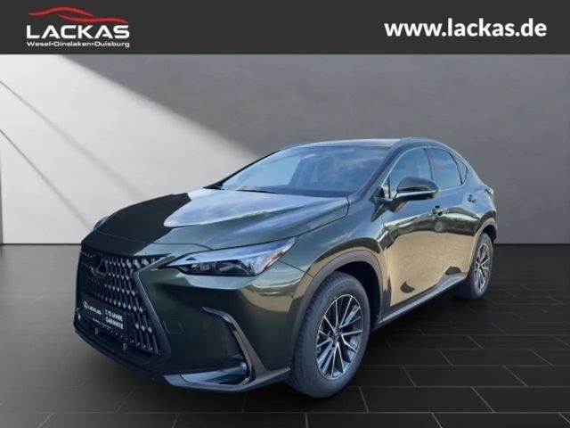 Lexus NX h 243 PS ** 15 Jahre Gar antie ** Sitzklima Connect - Paket 360°Kamera