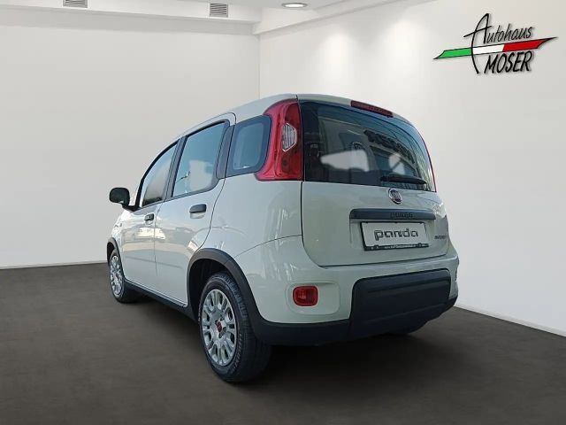 Fiat Panda 4x2