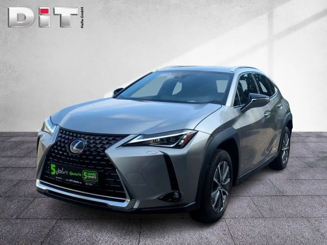 Lexus UX Basis Klima Kamera Sitzhzg Tempomat