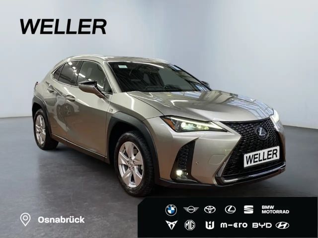 Lexus UX 250h F Sport Sport