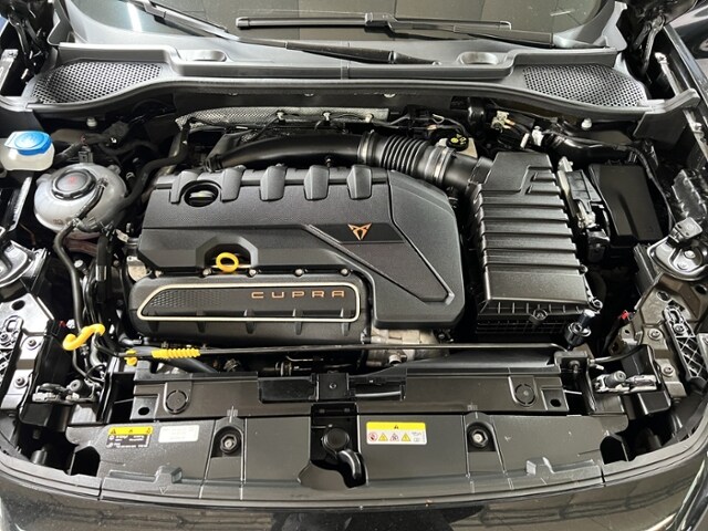 Cupra Formentor 2.5 TSI 4Drive