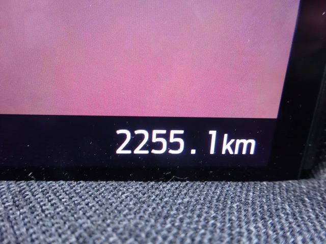 Ford Mustang Mach-E AWD GT