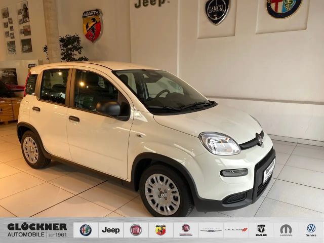 Fiat Panda Hybrid Pandina
