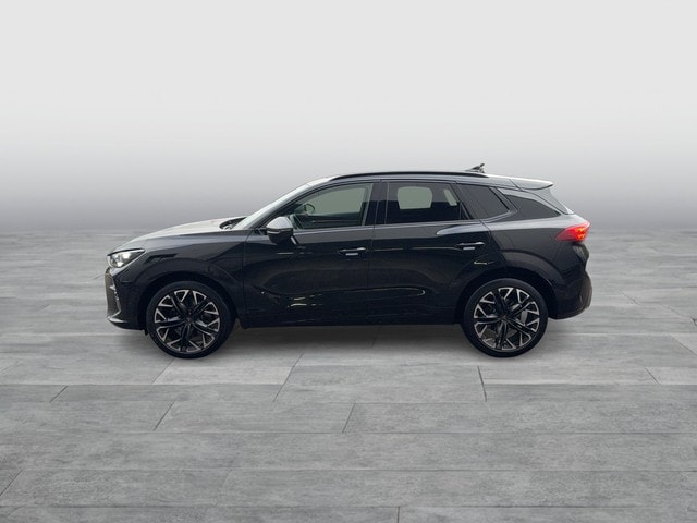 Cupra Terramar 2.0 TSI VZ